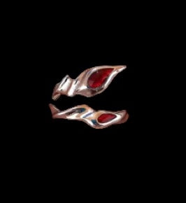 Our Rings