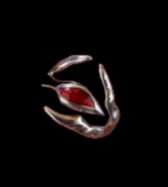 Our Rings
