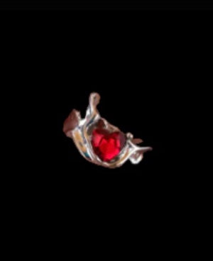 Our Rings